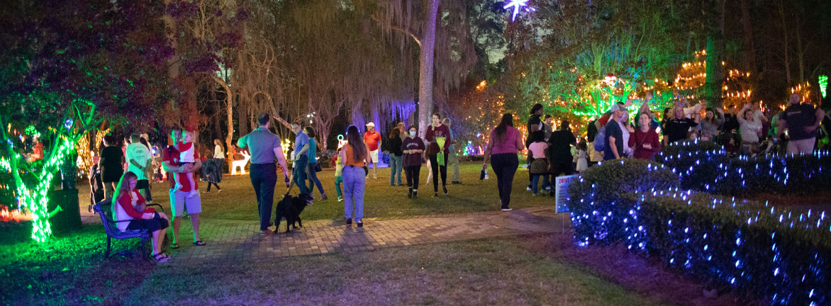 Elf Night at Dortothy B Oven